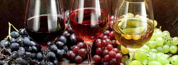 Các giống nho sản xuất rượu vang